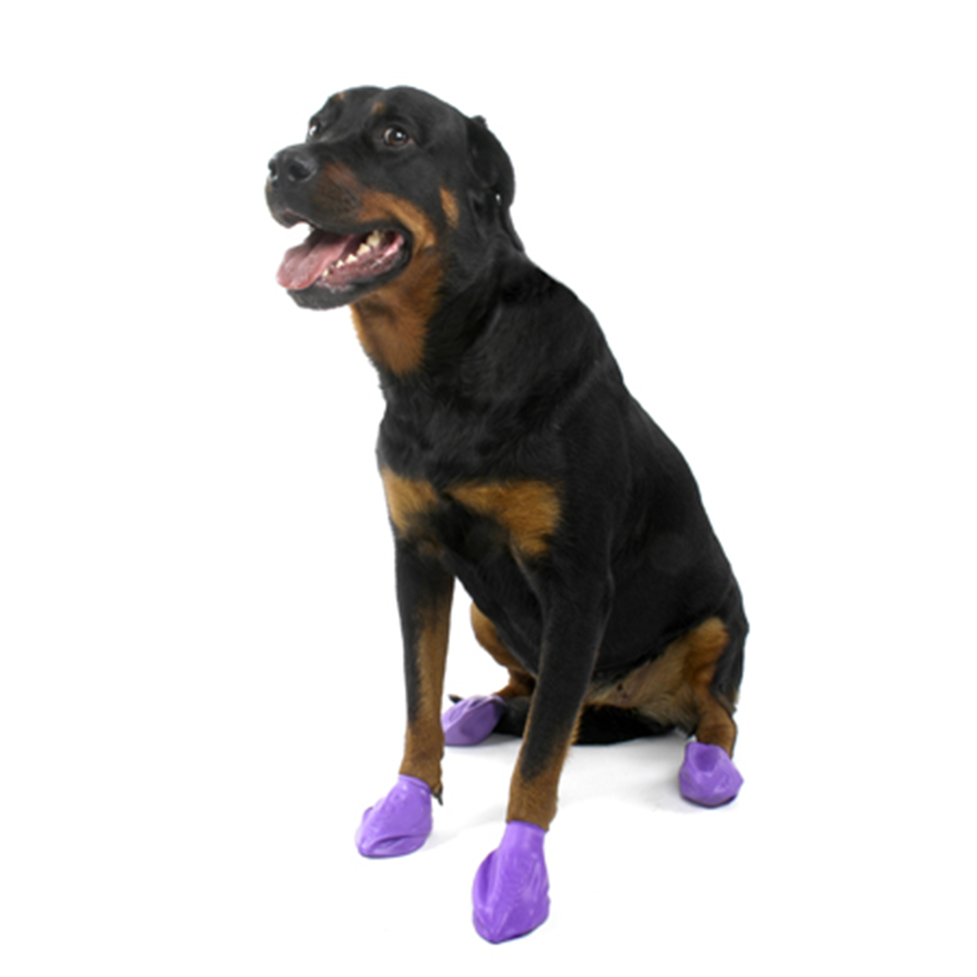 PAWZ colored 12 pieces