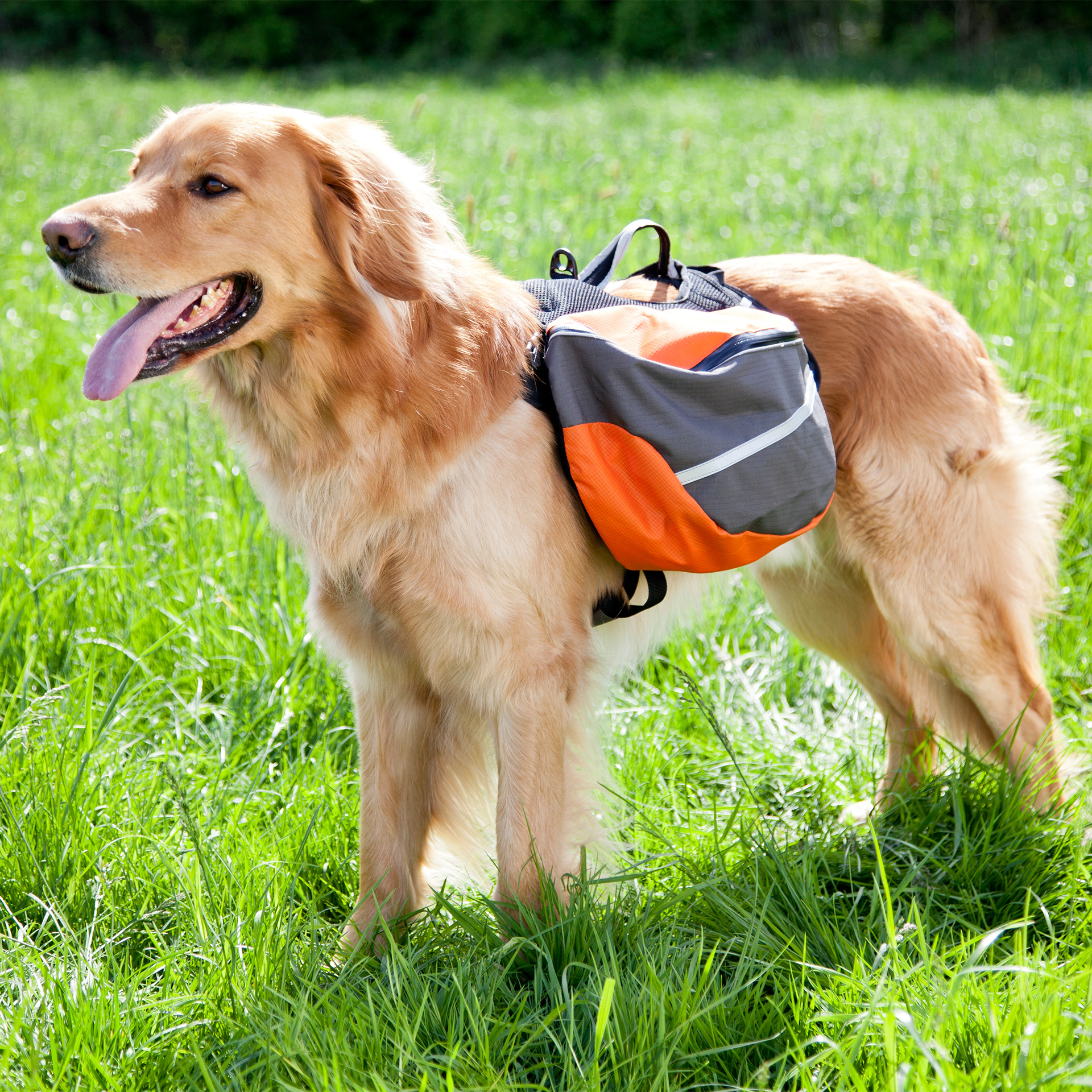 Rucksack_LeadAndTravel_03 Rucksack "Lead & Travel" (S)