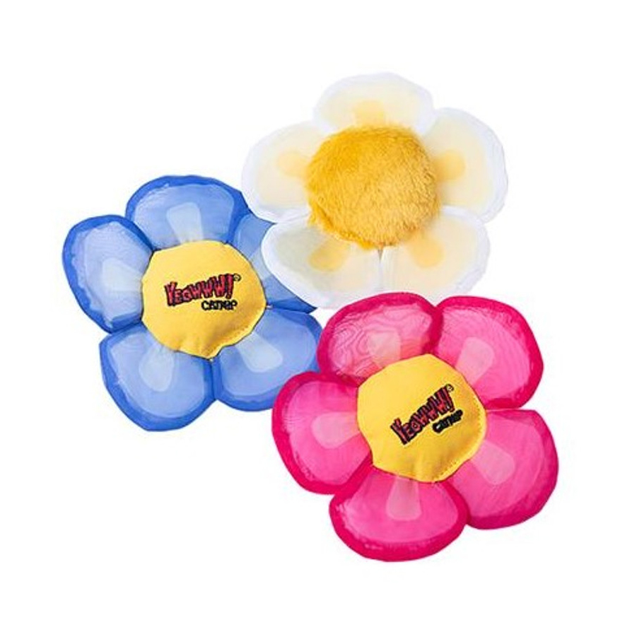 Yeowww! Gänseblümchen Weiß