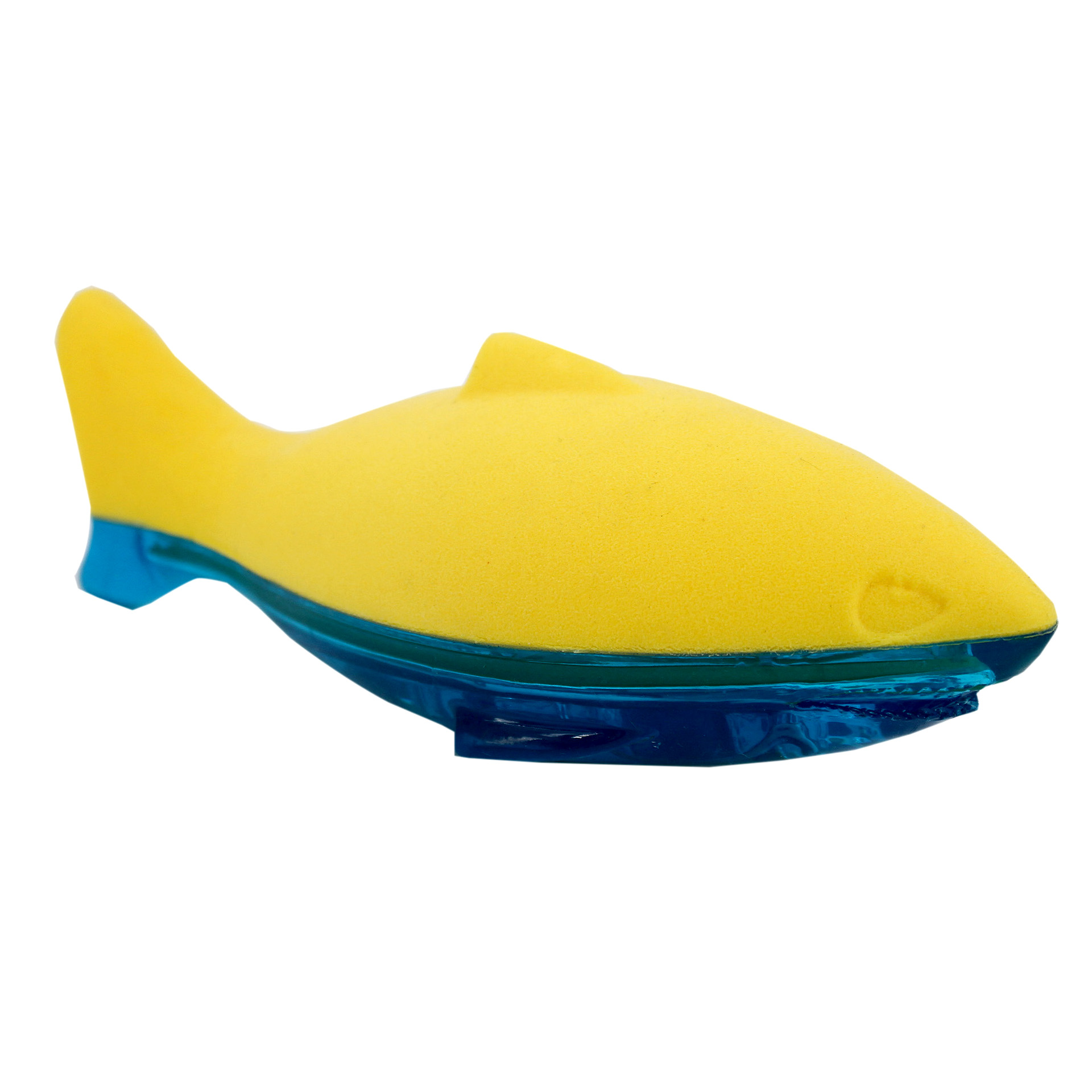 Aquafoam Shark