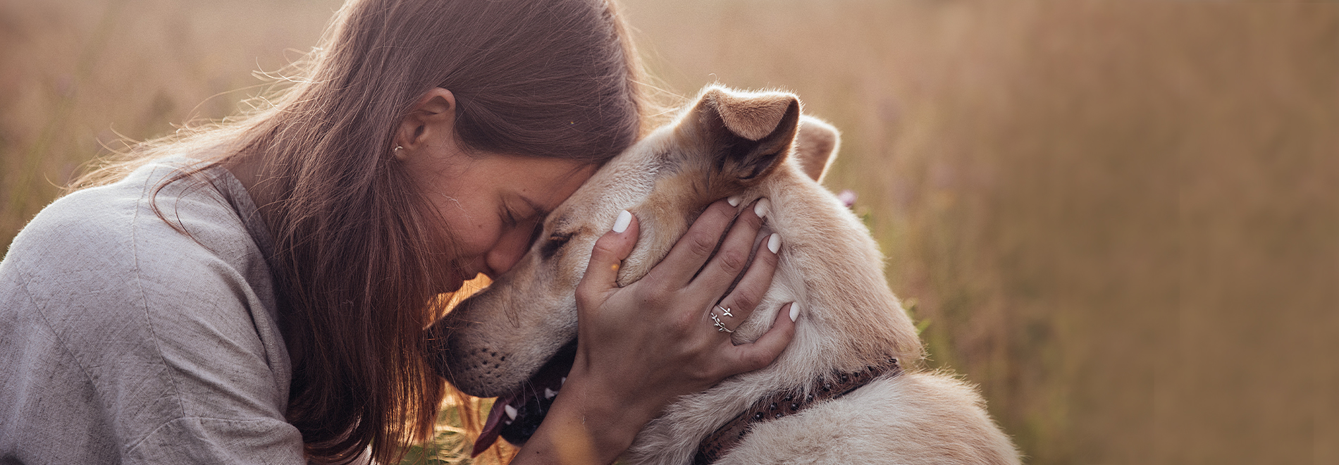 Blog - mein Hund und ich