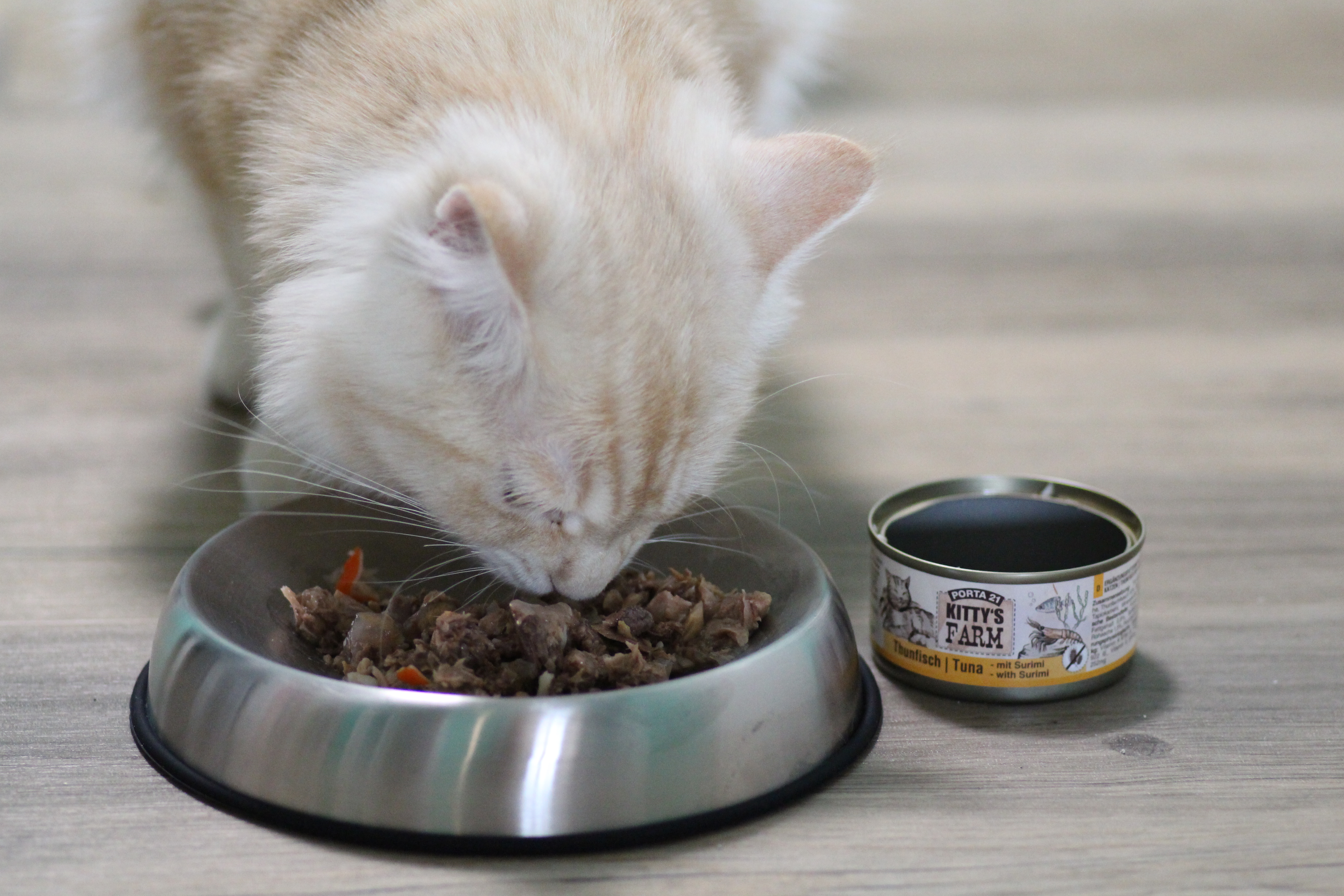 Helle Katze frisst Kittys Farm aus Catsby's Bowl