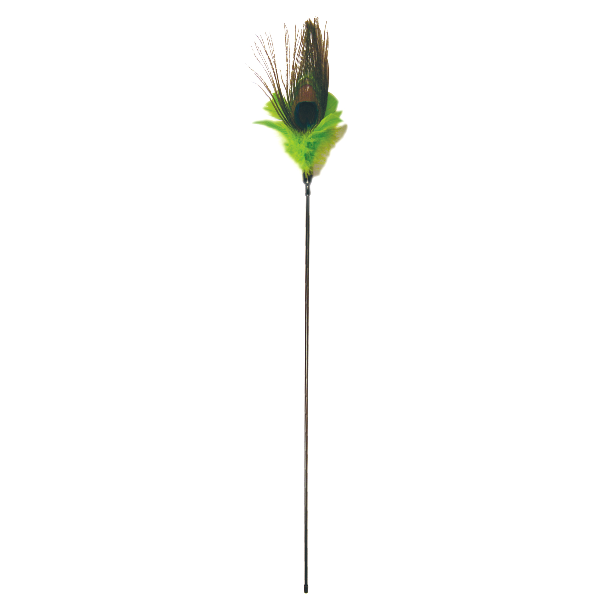 PURRfectPeacockFeather_4515_02 PURRfect Peacock Feather Cat Teaser