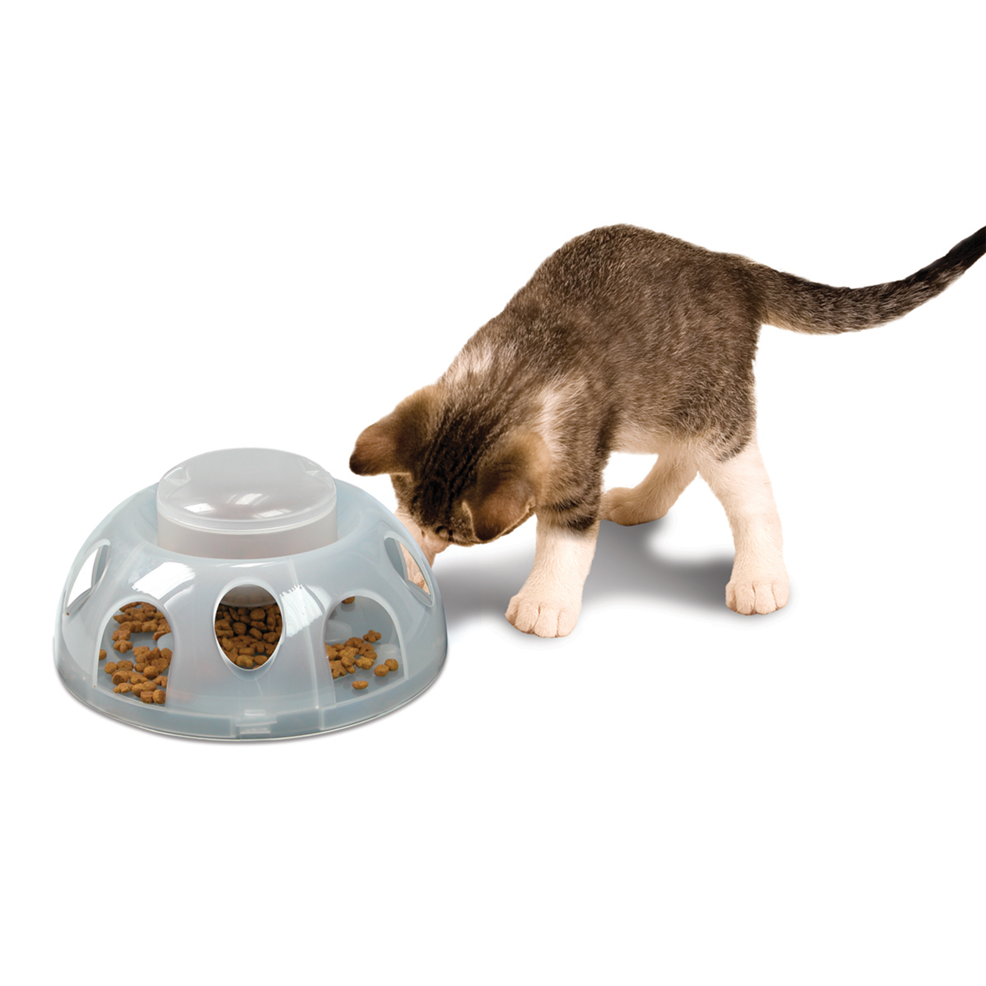 Tiger Diner (Plastic transparent)