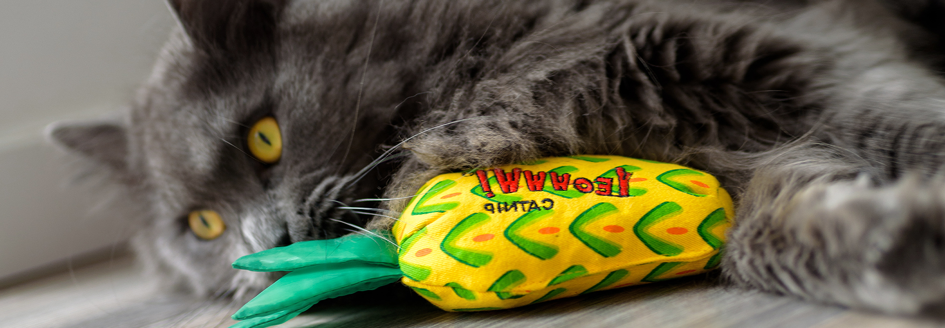 Katzenspielzeug Katze kuschelt mit Katzenspielzeug mit Katzenminze