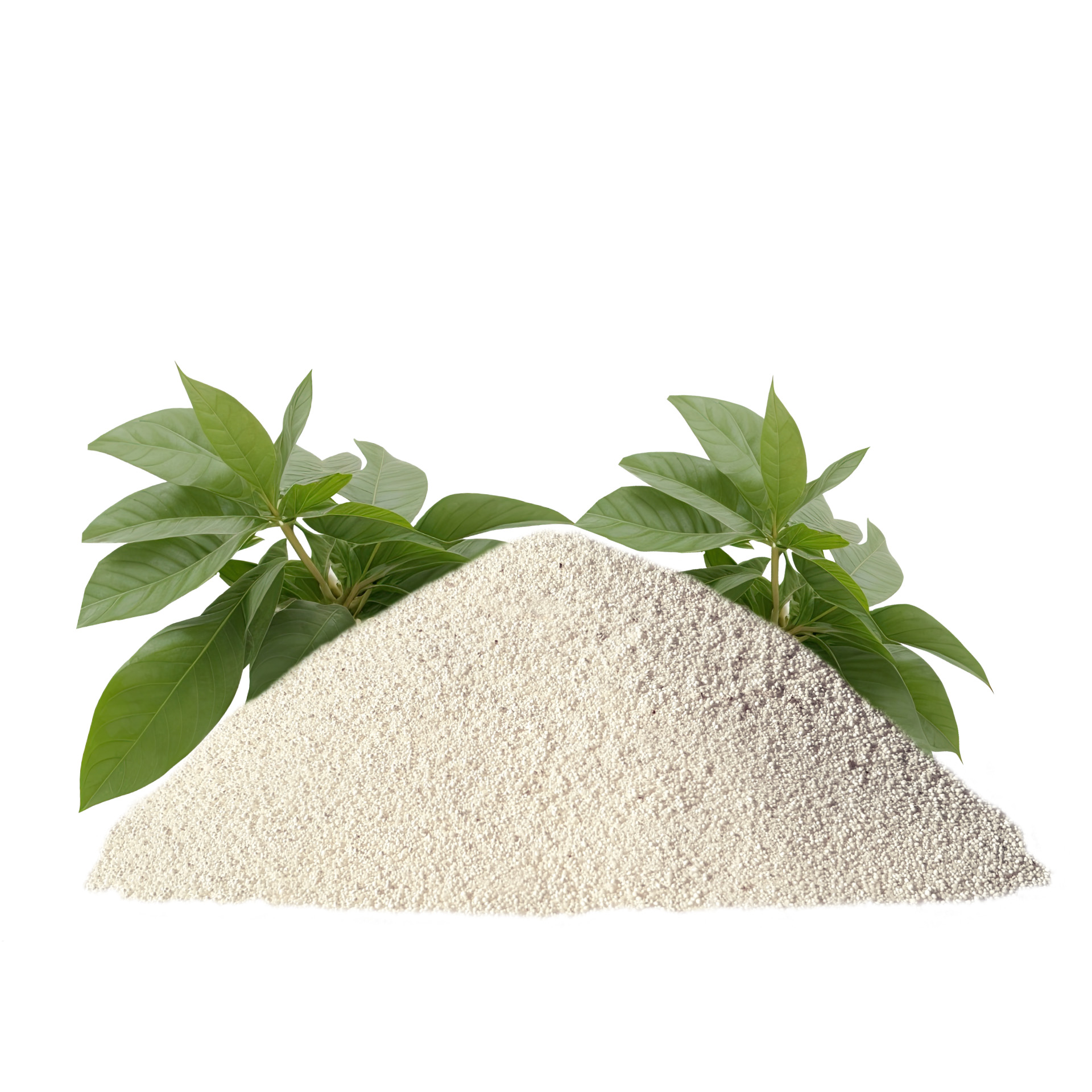 SoftCat - Yucca 10 l