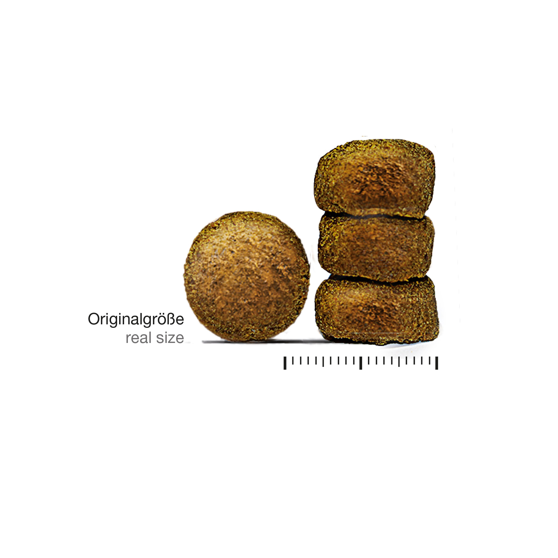 caninefinest_sensible_krokettenb5SauSErilTVD Canine Finest - Sensible (22,7 kg)