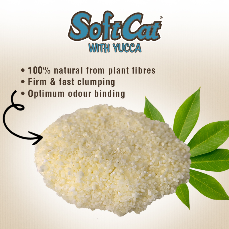 SoftCat - Yucca 10 l