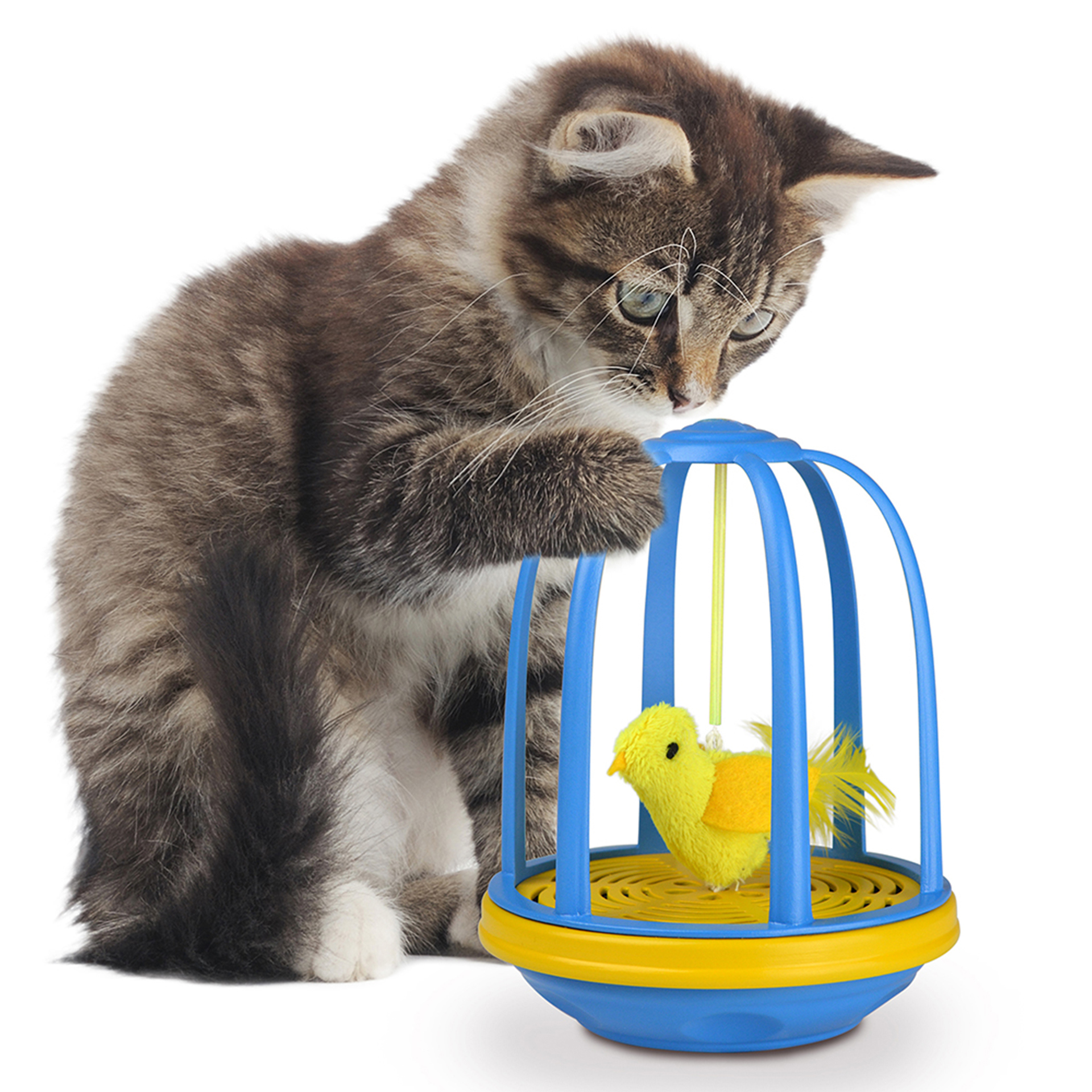 Bird in a Cage