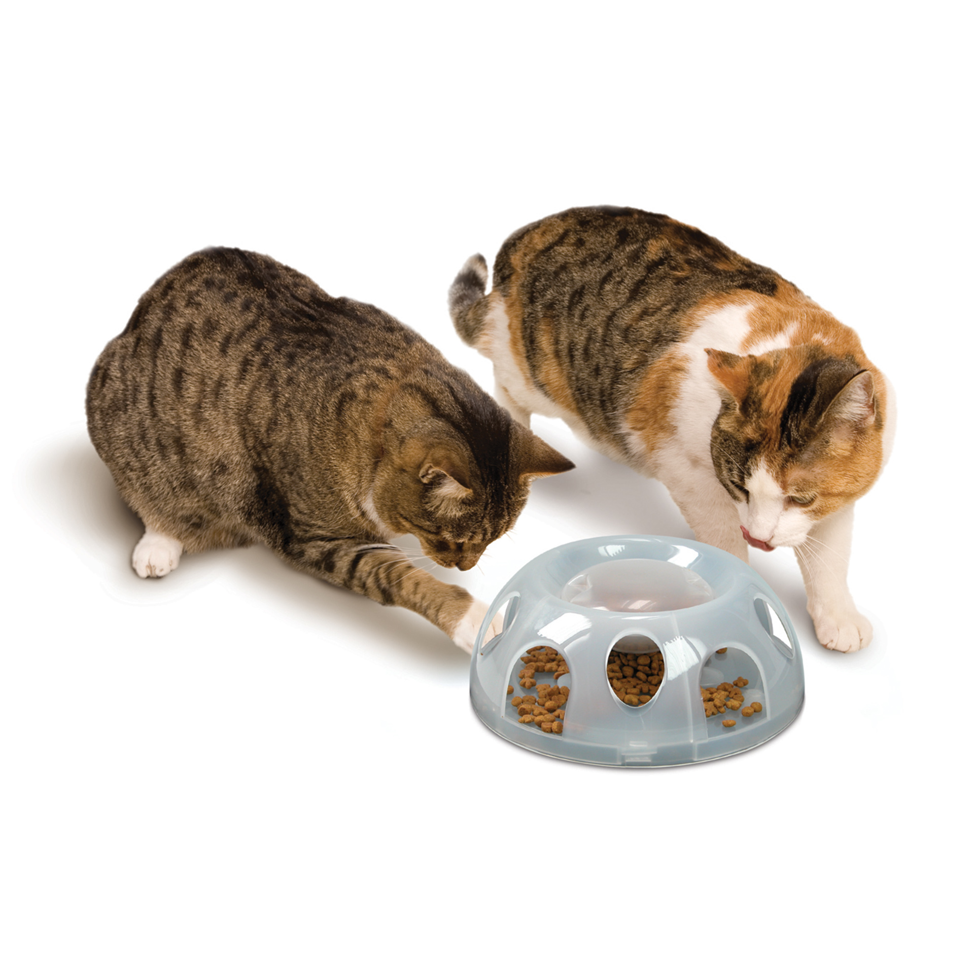 Tiger Diner (Plastic transparent)