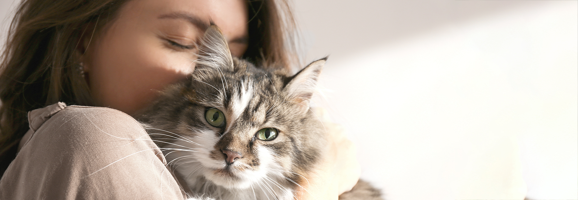 Blog - meine Katze und ich