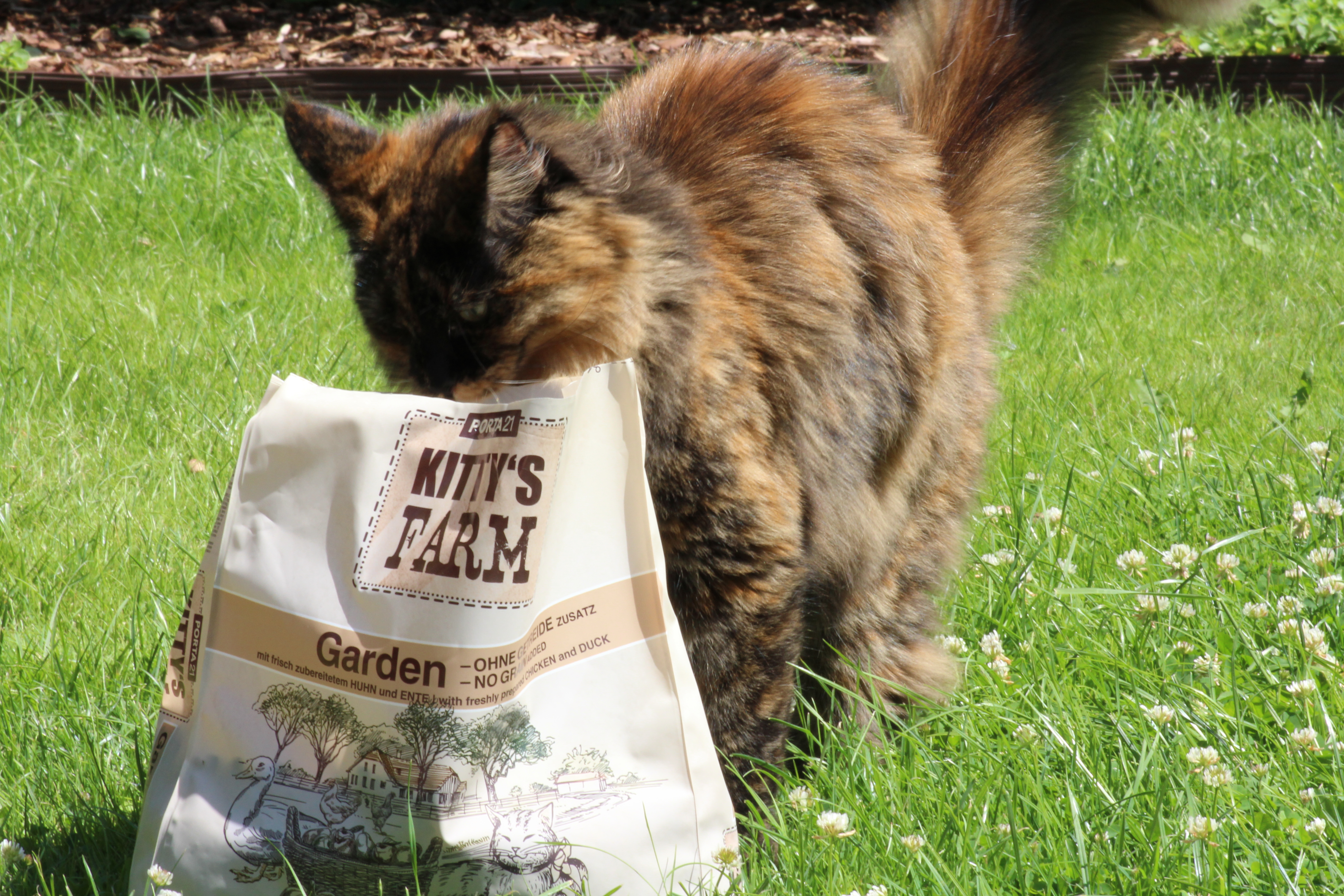 Kittys-Farm-Garden-dunkle-Katze Kitty's Farm - Garden (0,4 kg)
