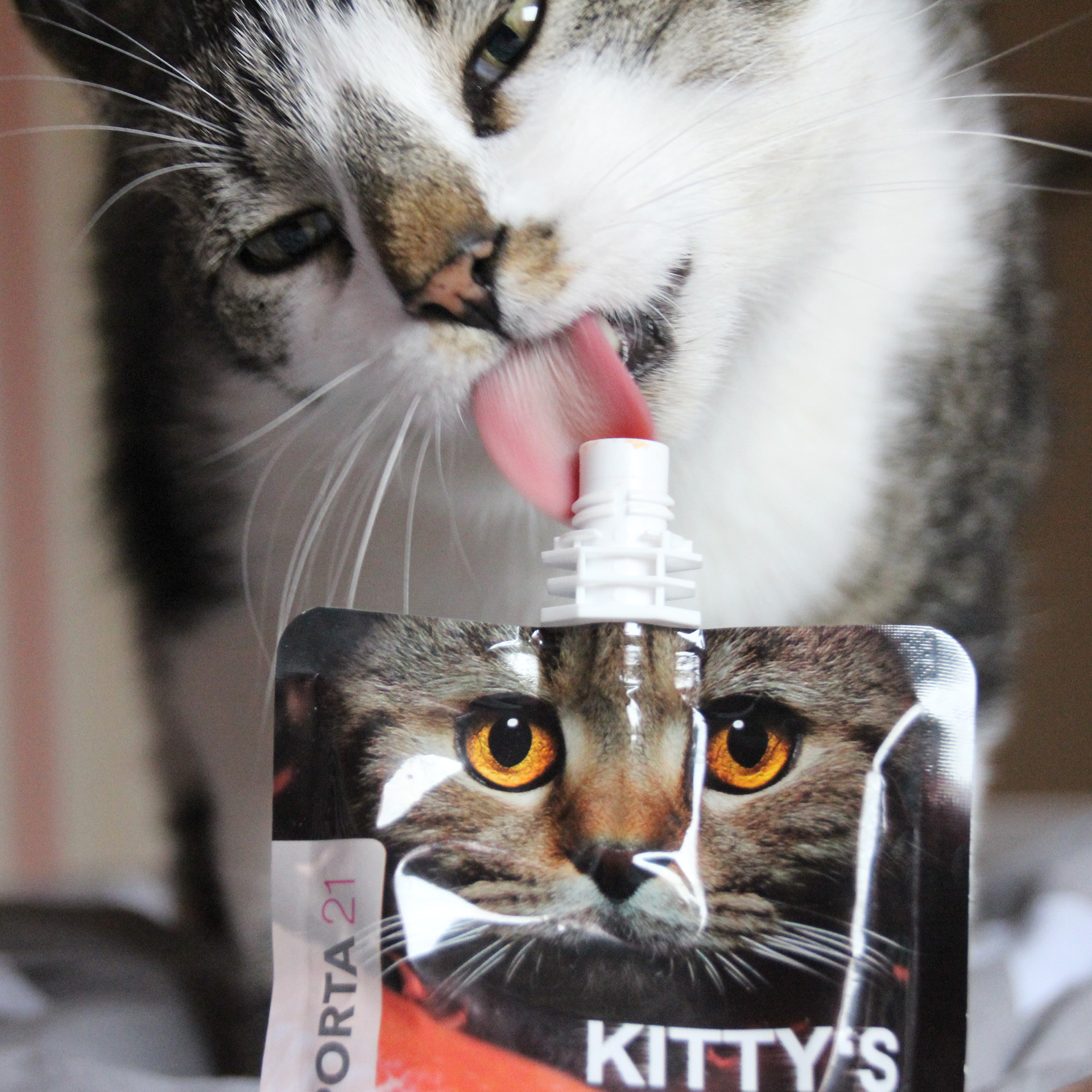 Lachs_90g_12958_05vKBa8eJTTiZ59 Kitty's Cream - Lachs 90 g