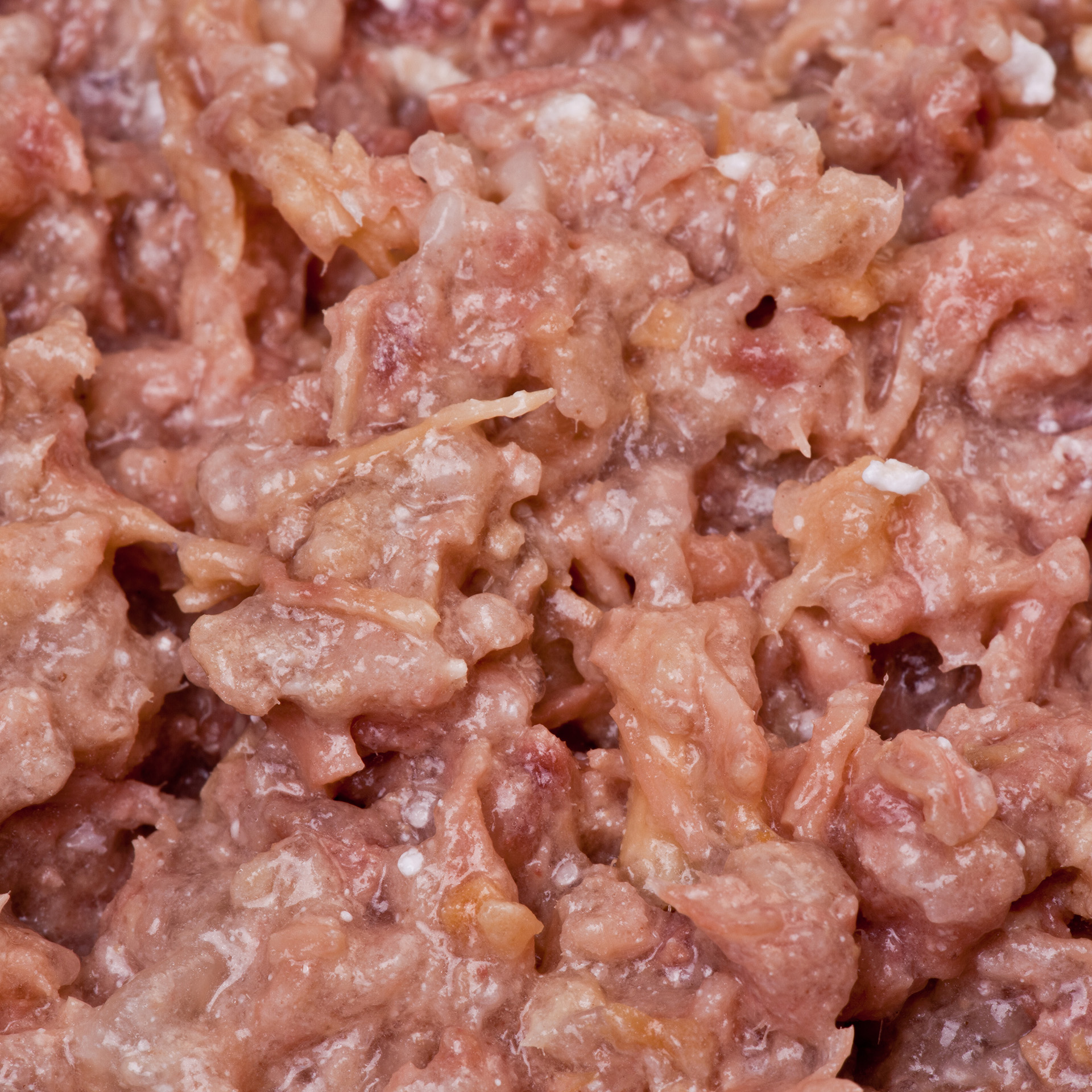 Canine Porta21 Rind pur Nassfutter