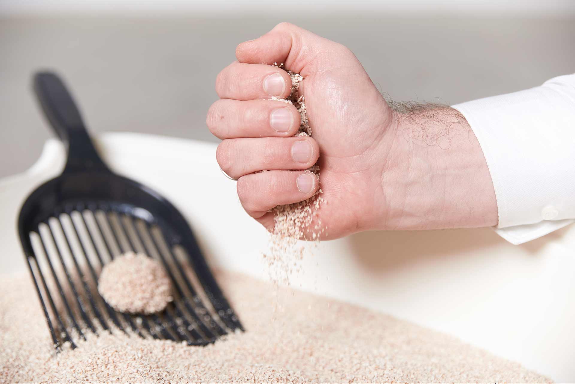 SoftCat Streu rieselt durch Hand