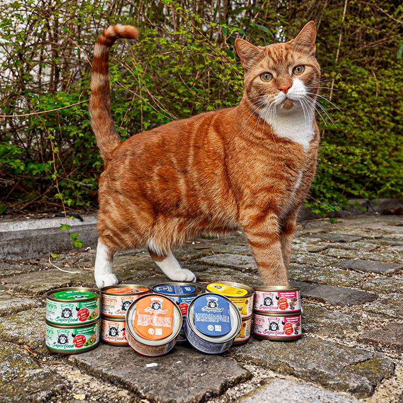 Superfood - Makrele - Papaya (80 g)