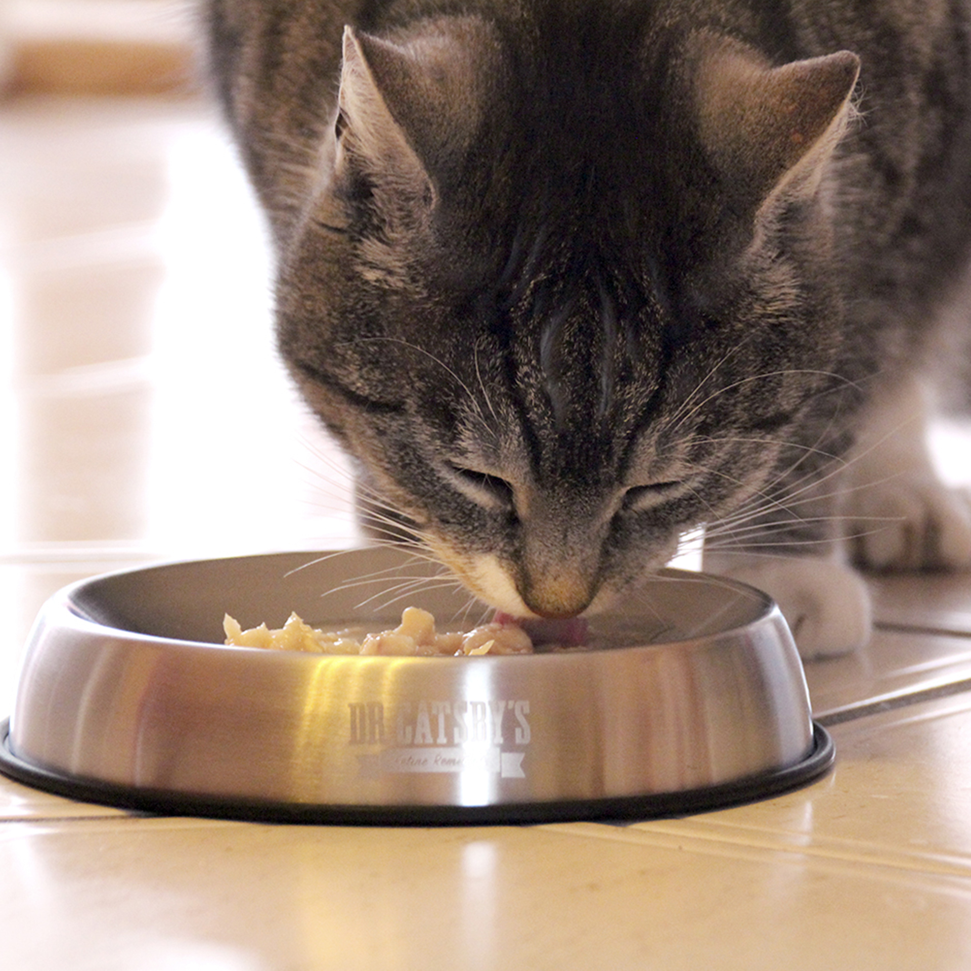 CatsbyBowl_91019_08 Katze frisst aus Catsby's Bowl