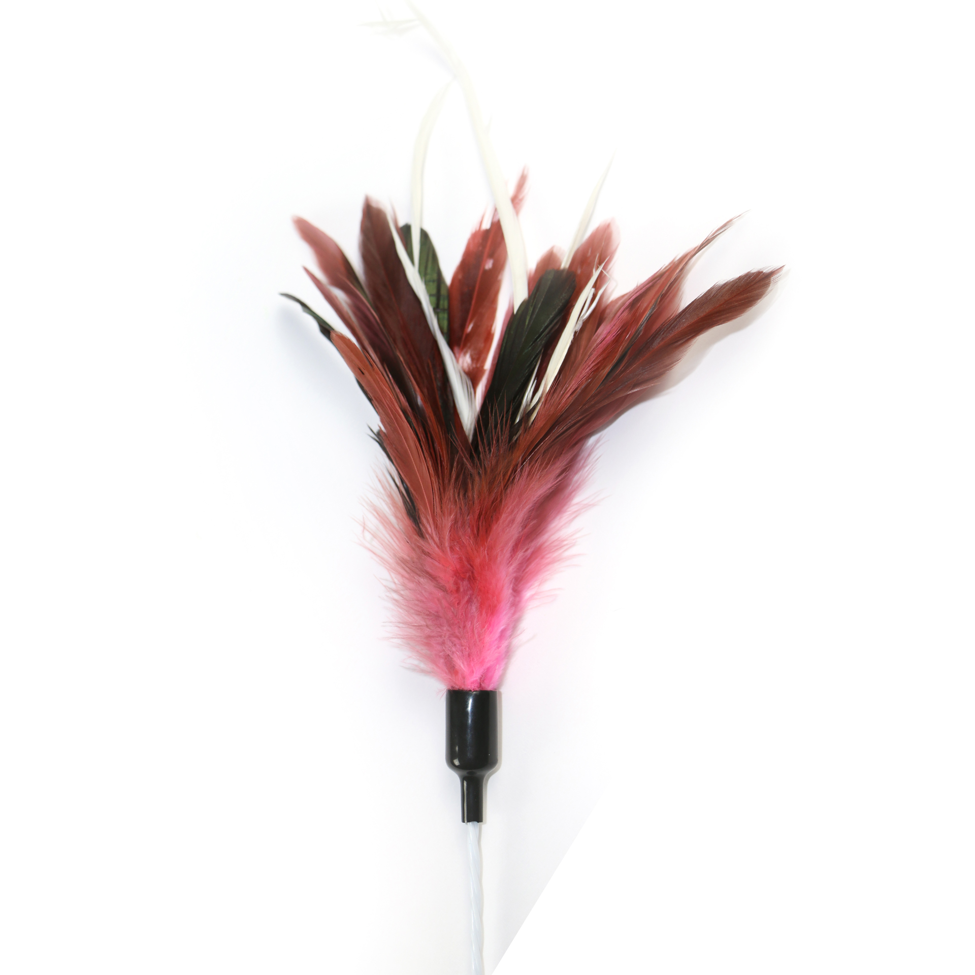 DayDream_48612_03 Day Dream Katzenspielfeder rot