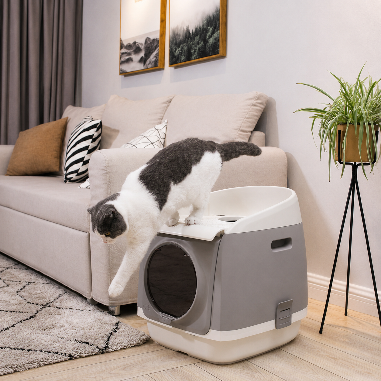 CatResidence-grau_4106-07-neu ChatGPT CatResidence-grau_4106-07-neu ChatGPT