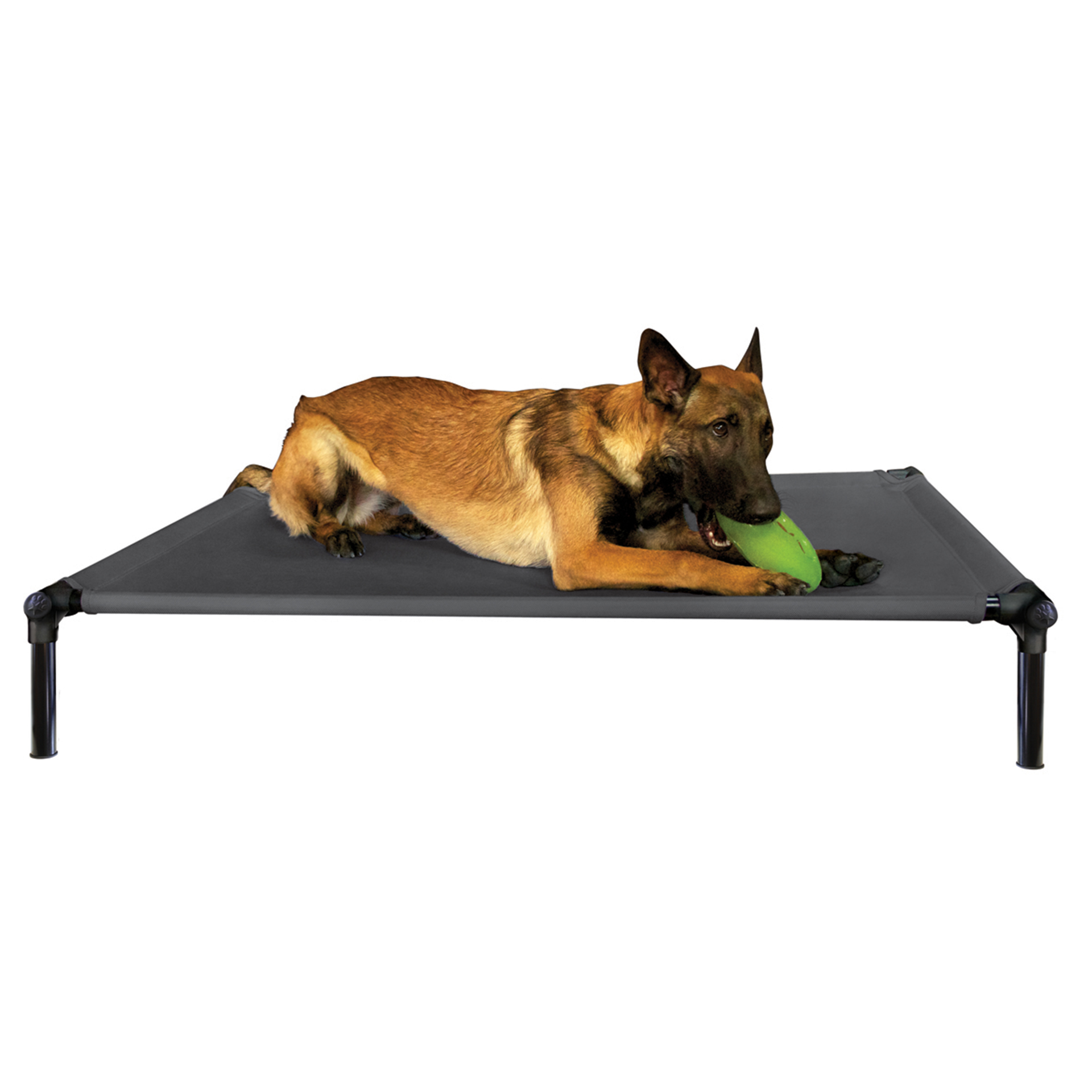 DogZone ProTraining Bett schwarz