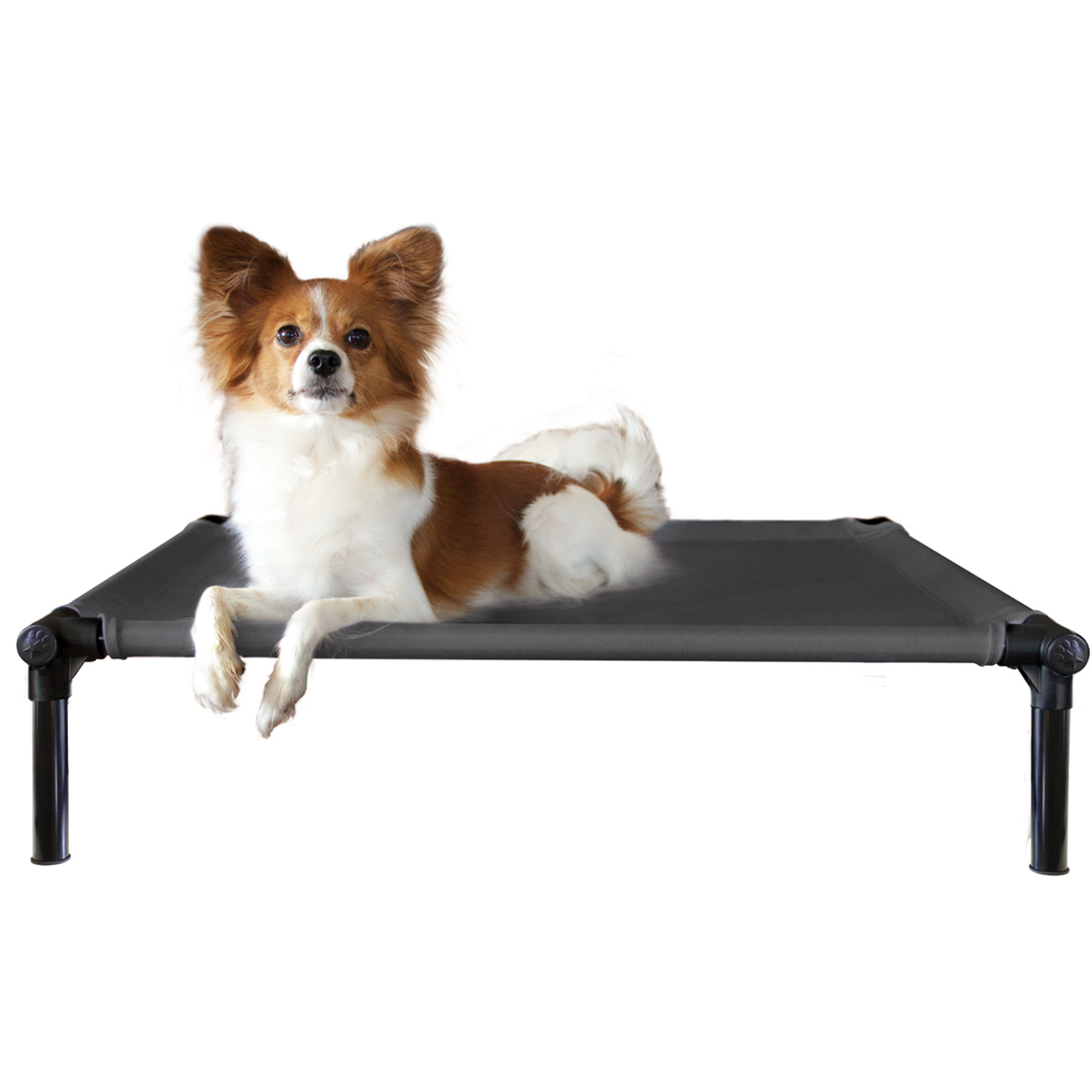 Dogzone_black_03oMgjXs75PWYg1 DogZone ProTraining Bett schwarz (M)