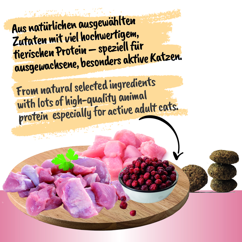 Feline Finest - Active (2 kg)
