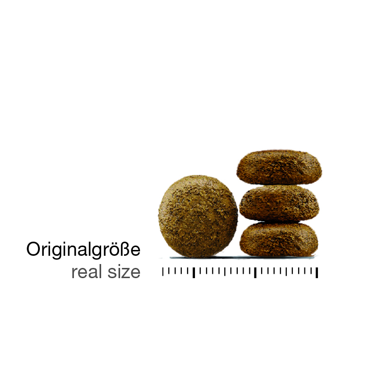 Schulzes-Best_Zutaten_ocean-dreams_kroketten Schulze's Best - Ocean's Dream (4,5 kg)