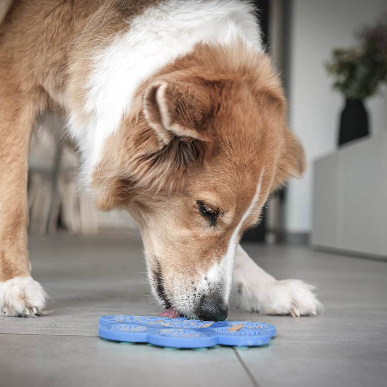 04703-Fun-TastyPaw-2 Fun&Tasty Paw Schleckmatte
