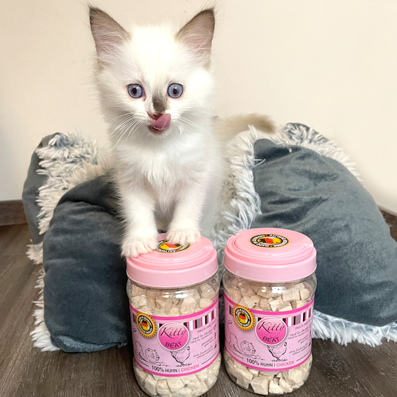 portapet_kitty-beat_sabrina-krichel_4 Kitty Beat - pures Huhn 120g