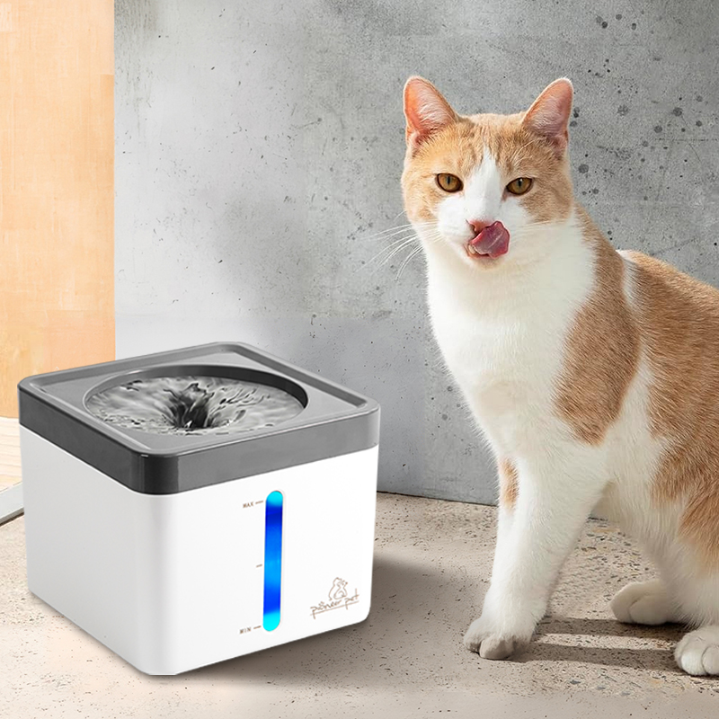 Mini Vortex mit Katze 2 Mini Vortex mit Katze 2