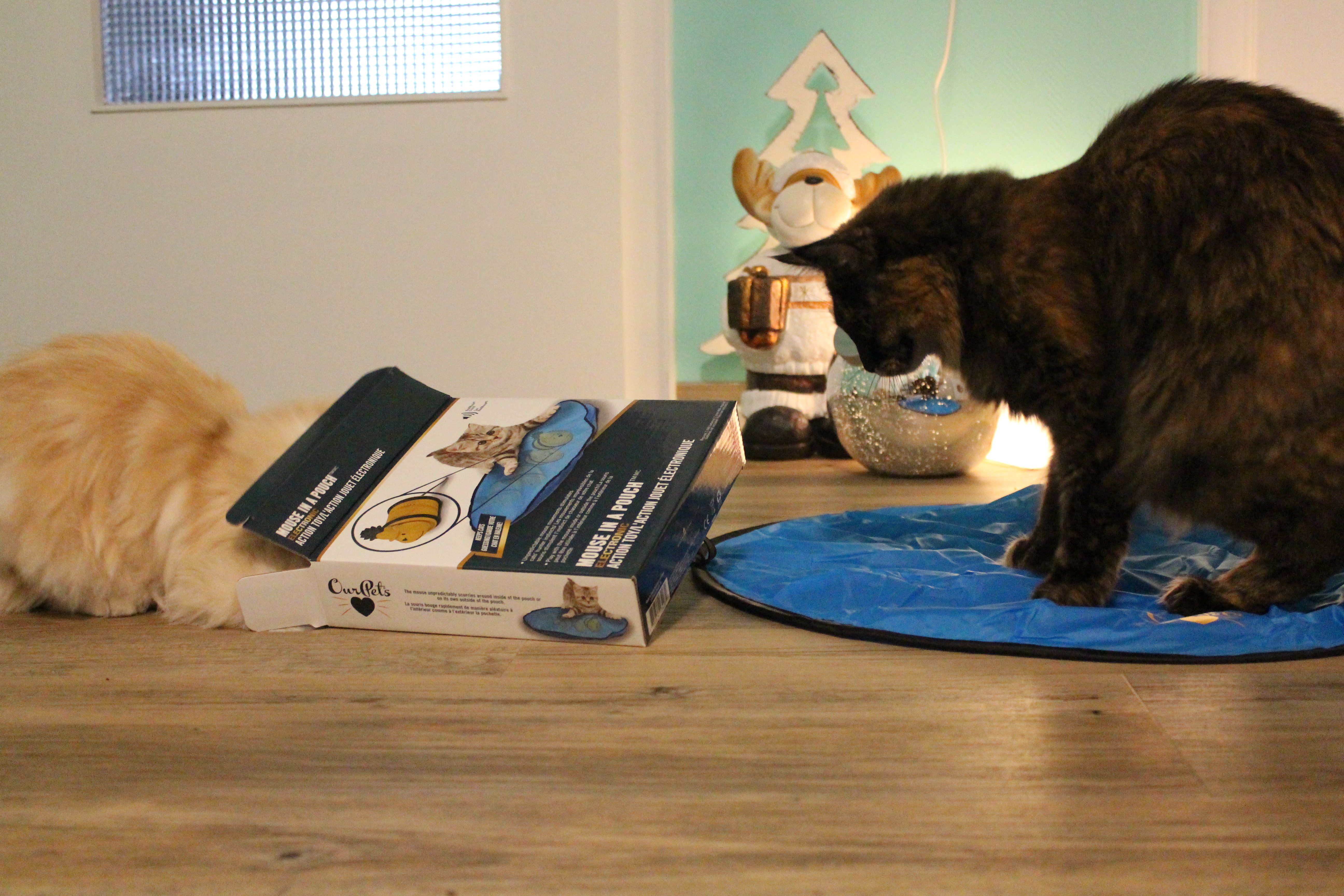 Zwei-katzen-Mouse-in-a-puch Zwei Katzen mit Mouse in a pouchSpielzeug