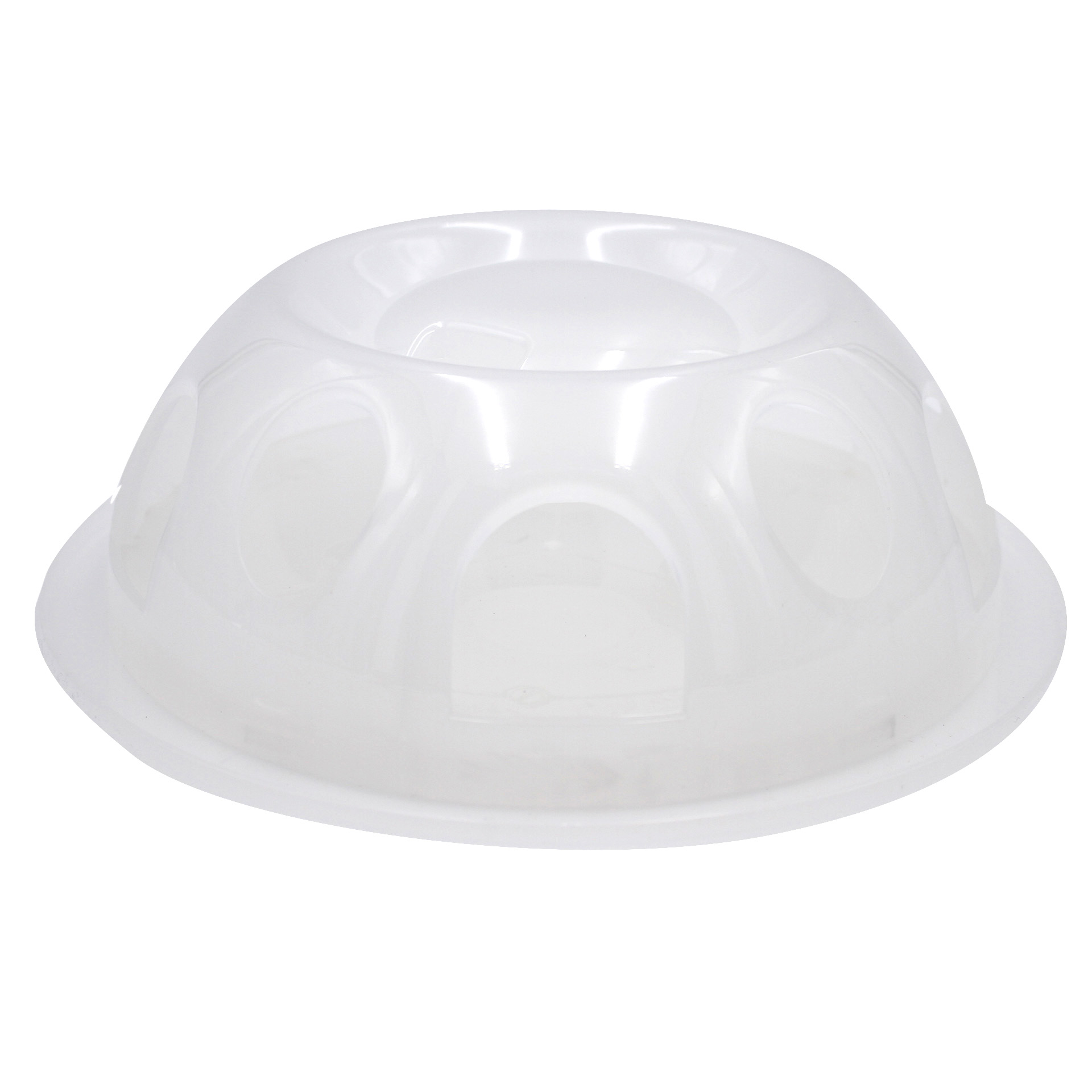 Tiger Diner (Plastic transparent)